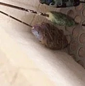 Kilncare Maxi Glass Bead Kiln - Image 5